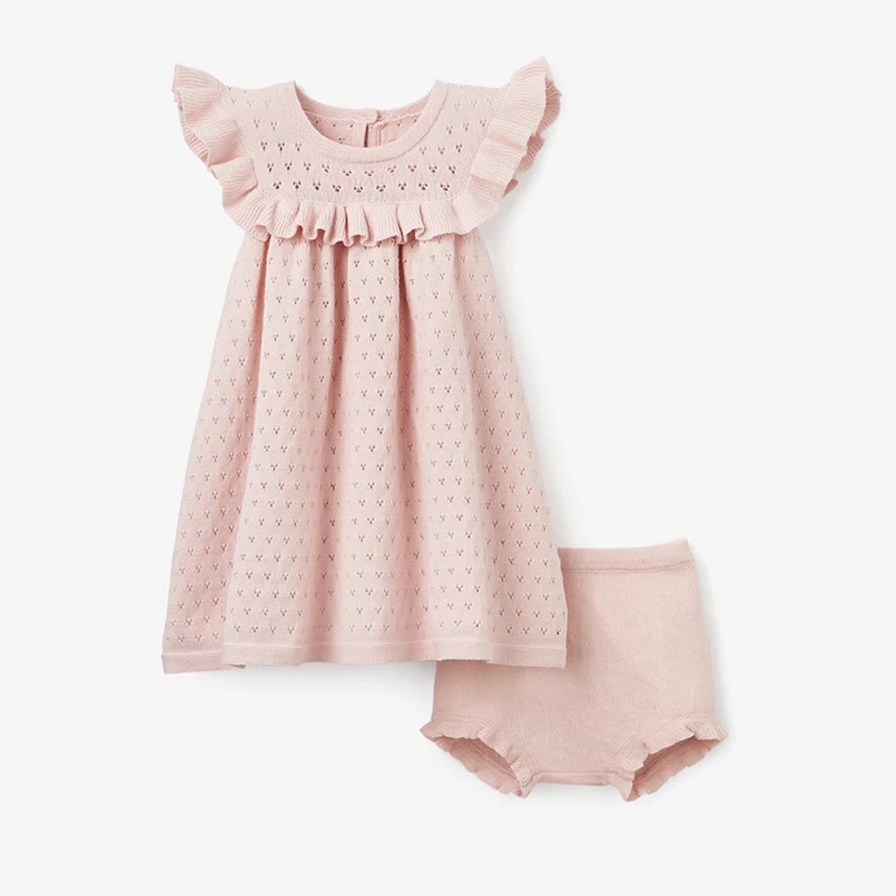BLUSH POINTELLE FLUTTER SLEEVE KNIT BABY DRESS